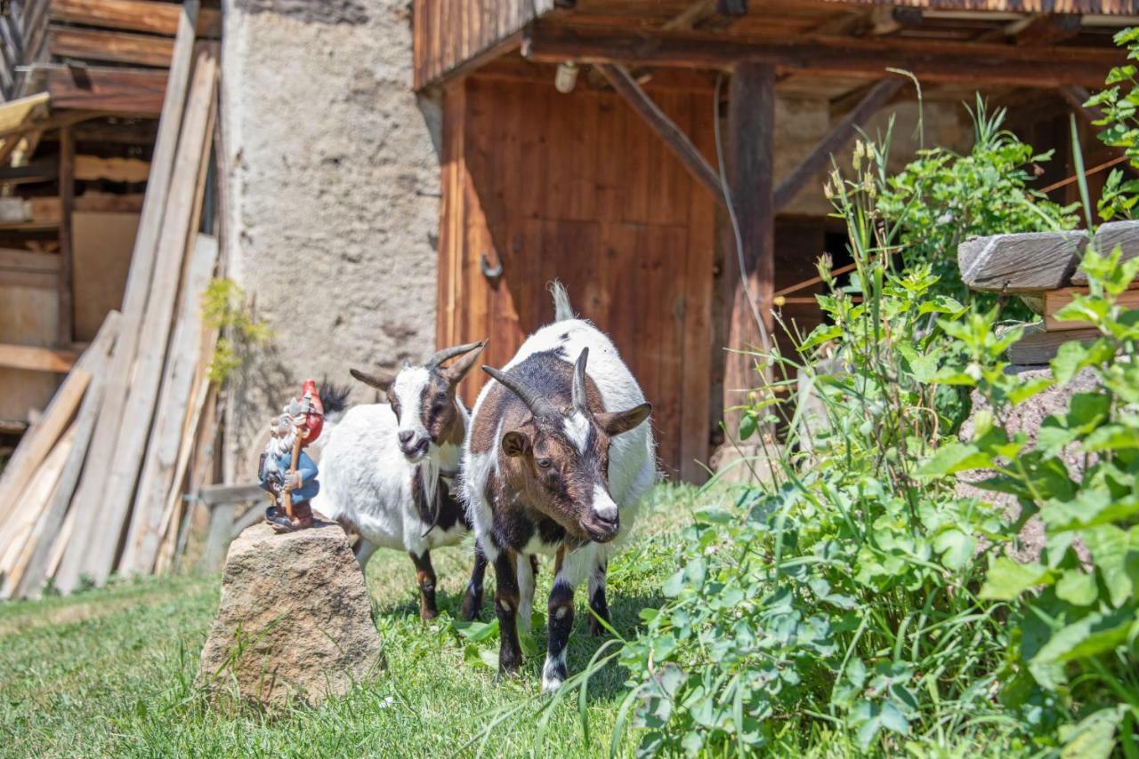 Ferienbauernhof Wieserhof Fiè Esterno foto